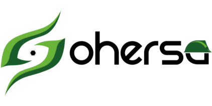 Logo de Sohersa BIM: Empresa dedicada a la gestión de proyectos constructivos a través de la metodología BIM.